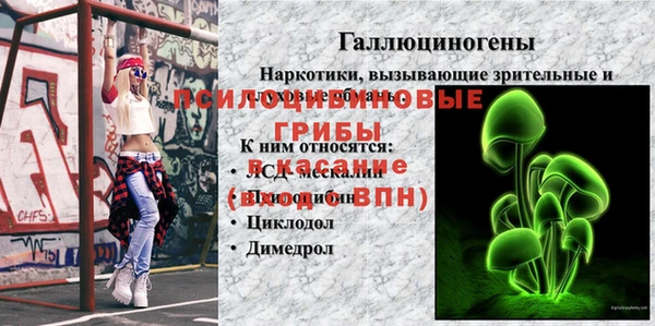 прущая мука Верея