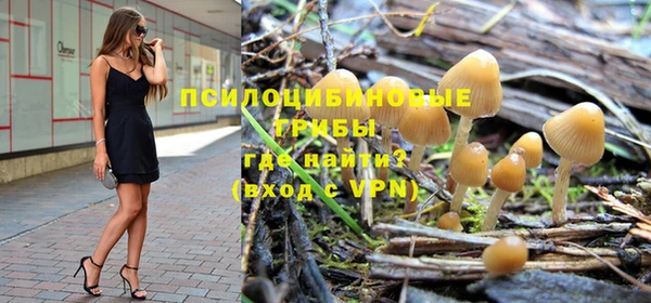 прущая мука Верея